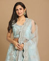 alt message - Mohey Women Graceful Light Blue Lehenga image number 1